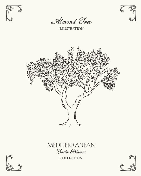 Mediterranean almond tree illustration inspired by the landscapes of Spain’s Costa Blanca