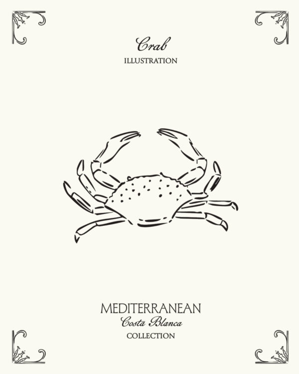 Minimal crab illustration inspired by Mediterranean seafood culture and the coastal lifestyle of Spain’s Costa Blanca