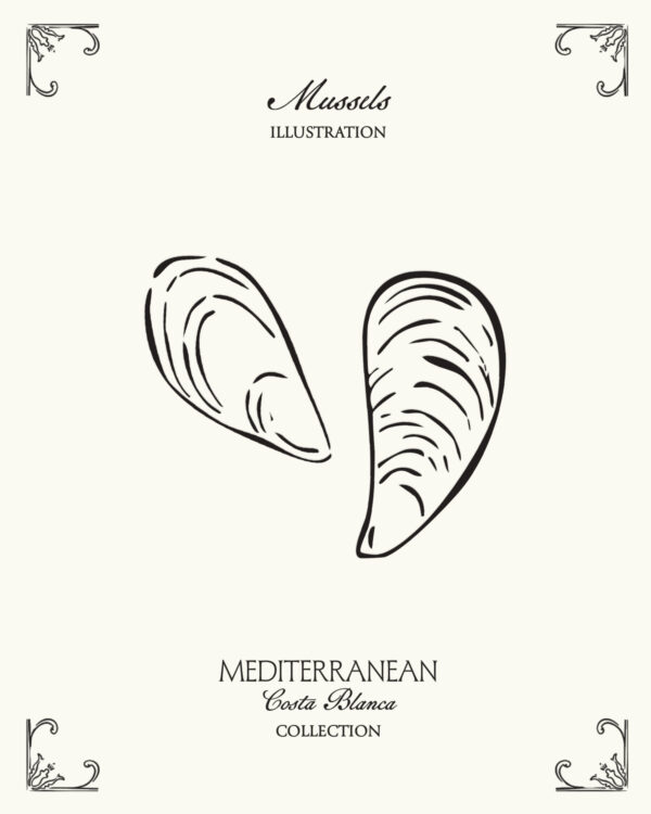 Minimal mussels illustration inspired by Mediterranean seafood culture and the coastal lifestyle of Spain’s Costa Blanca