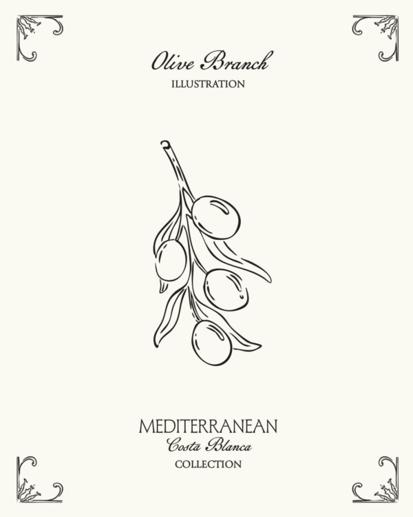 Minimal olive branch illustration inspired by Mediterranean nature and the coastal lifestyle of Spain’s Costa Blanca