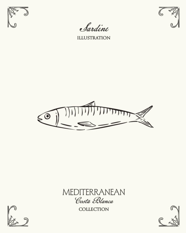 Minimal sardine illustration inspired by Mediterranean coastal culture and the seaside lifestyle of Spain’s Costa Blanca