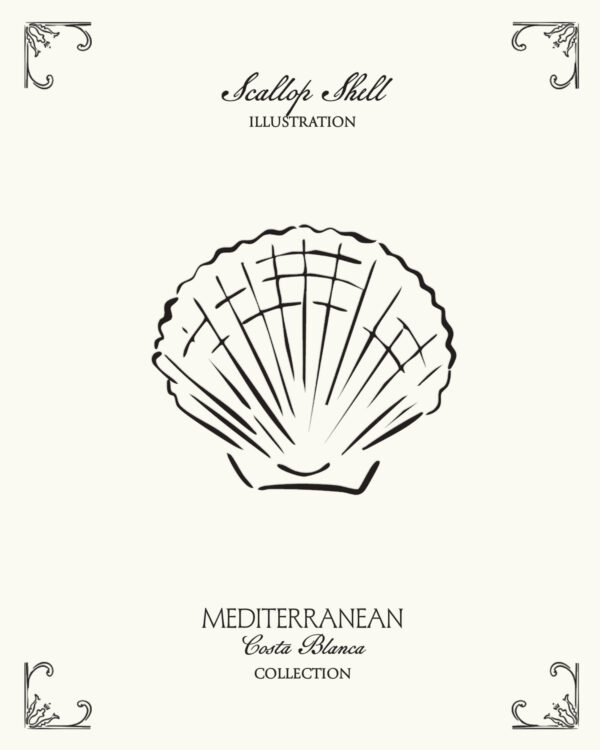 Minimal scallop shell illustration inspired by Mediterranean coastal aesthetics and seaside culture from Spain’s Costa Blanca