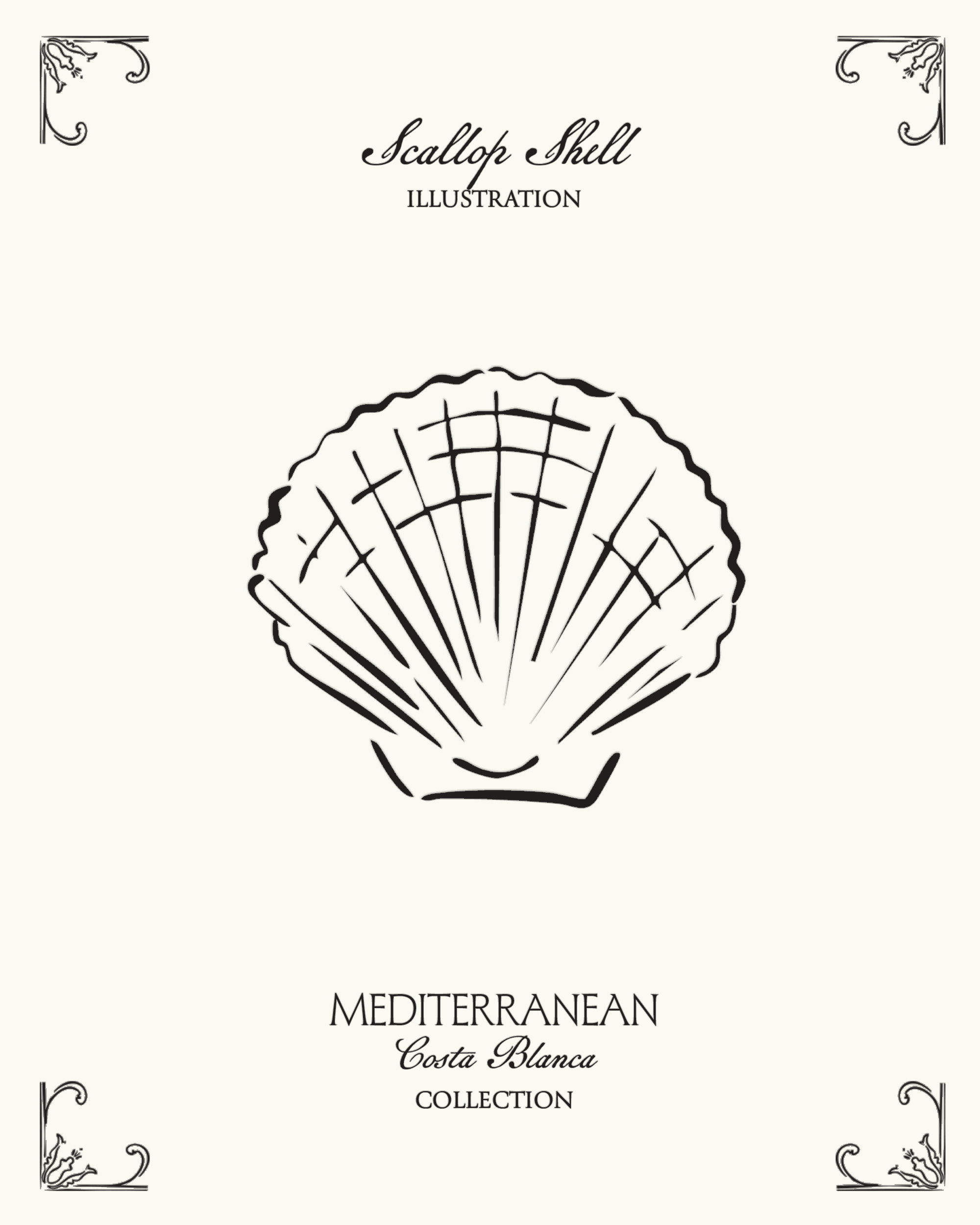 Minimal scallop shell illustration inspired by Mediterranean coastal aesthetics and seaside culture from Spain’s Costa Blanca