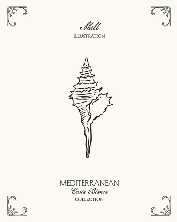 Minimal shell illustration inspired by Mediterranean coastal aesthetics and the seaside atmosphere of Spain’s Costa Blanca