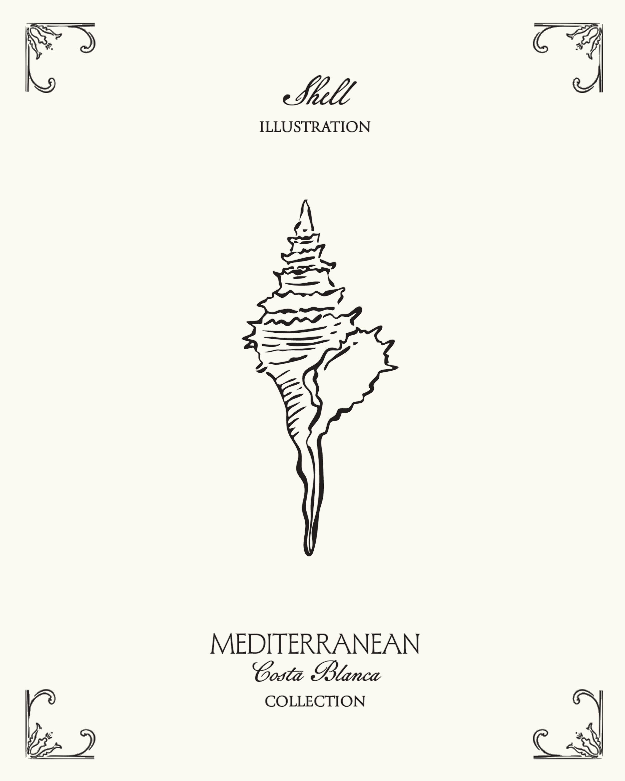 Minimal shell illustration inspired by Mediterranean coastal aesthetics and the seaside atmosphere of Spain’s Costa Blanca